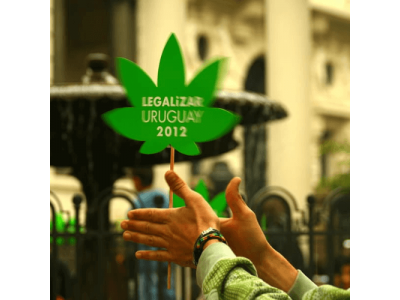Легалізація в Уругваї 