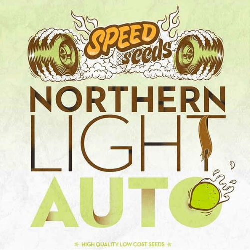 Auto Northern Lights Fem