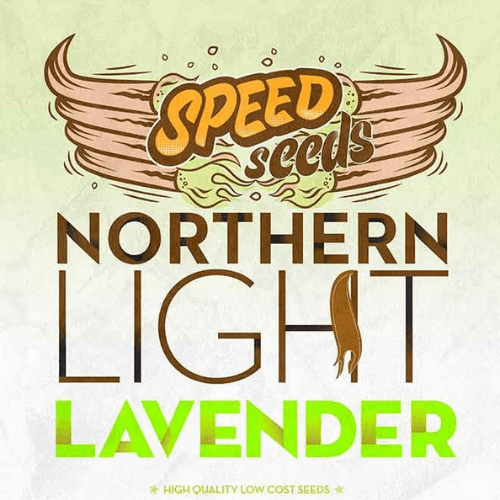 Northern Light x Lavender Feminised