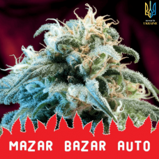 Mazar Bazar Auto