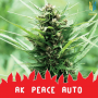 Насіння конопель AK Peace Auto