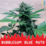 BUBBLEGUM BLUE AUTO cannabis seeds
